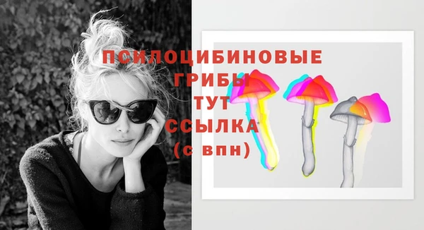 мескалин Бородино
