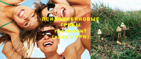 гидра Богданович