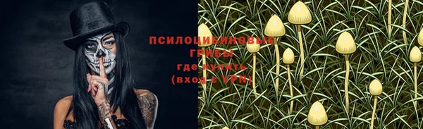 эйфоретик Бугульма