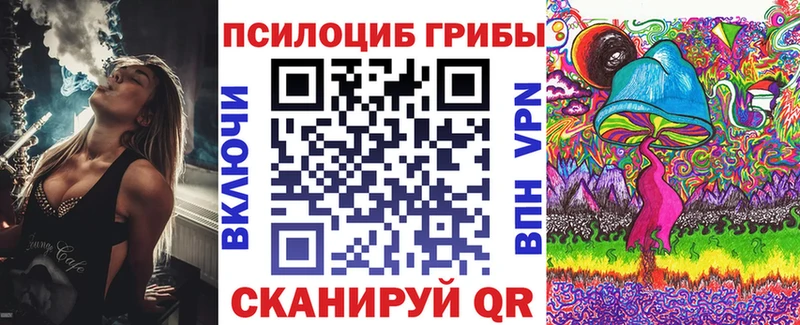 наркота Кимры Псилоцибиновые грибы Cubensis